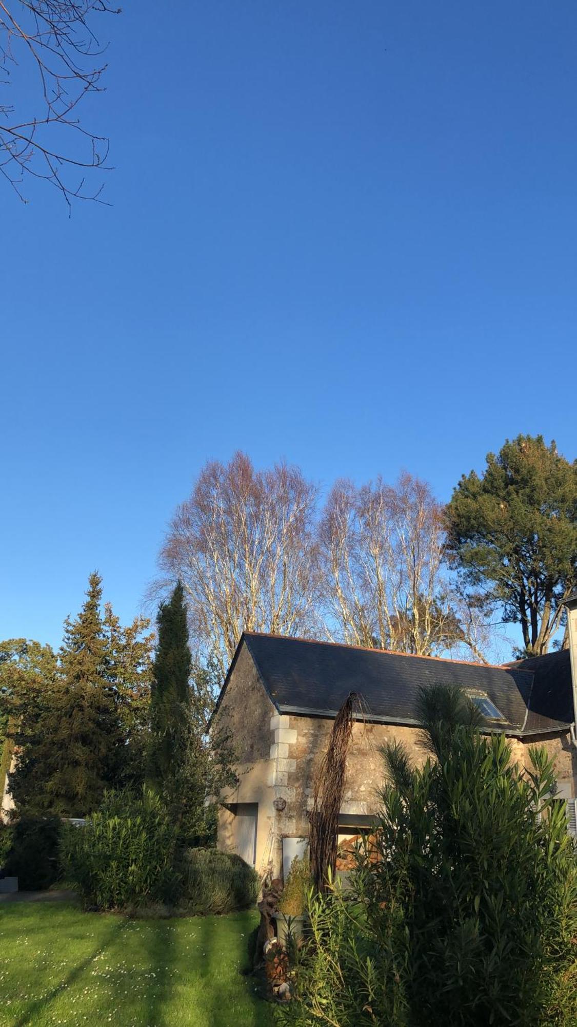 La Thibautiere Acomodação com café da manhã Blaison Exterior foto